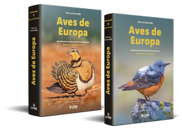 LYNX, AVES DE EUROPA IDENTIFICACION DE TODAS LAS ESPECIES Y PLUMA - DUIVENDIJK N/GUYT M