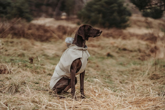 Hunter Milford Abrigo para Perro Beige 25 cm
