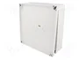 FIBOX MNX Carcasa Universal Gris ABS 180x180x60mm