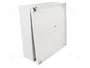 FIBOX MNX Carcasa Universal Gris ABS 180x180x60mm