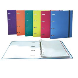 Carpebloc Senfort Basic Tapa Extra A4 4 An.Mixtas 25Mm Con Rec. 80 Hj. Cuadric.5X5 Surtido (Set de 6)