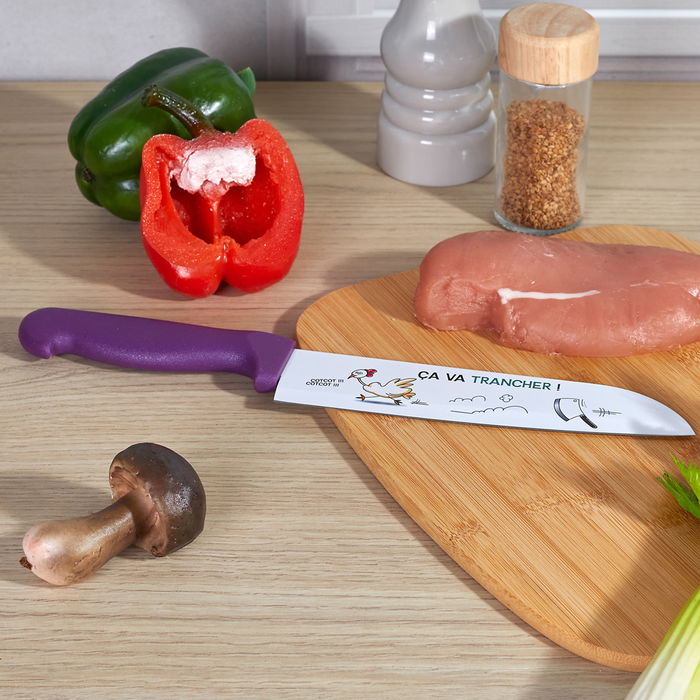 Cook Concept Cuchillo Chef Acero Inoxidable Colección Ludique