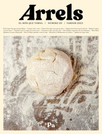 ARRELS 20, AA.VV - ARA LLIBRES