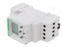 F&F Programador de tiempo SPDT 24÷264VAC/VDC