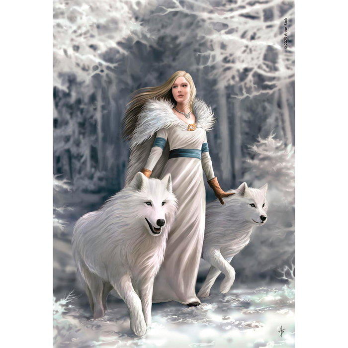 CLEMENTONI Puzzle 1000 Piezas 39957 Anne Stokes Winter Guardians - Para Adultos (+14 Años), 70 x 50 cm