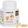 HAWLIK Champiñón del Sol extracto puro 60vcaps