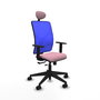 PIQUERAS Y CRESPO Silla de oficina Motilla con mecanismo Sincro/Traslack, asiento Rosa y malla Azul