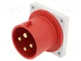 SEZ DK Conector de alimentación AC trifásico Macho 4 Polos 32A 400V