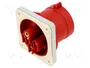 SEZ DK Conector de alimentación AC trifásico Macho 4 Polos 32A 400V