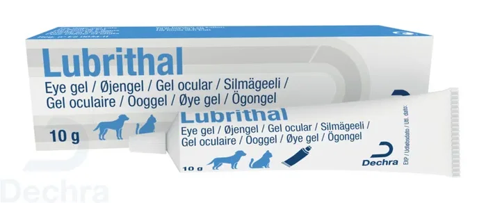 Dechra Lubrithal Gel Oftálmico Humectante y Lubricante 10 g