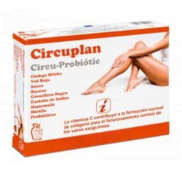 DIS Circuplan 60 Cápsulas para la Circulación Sanguínea