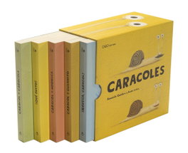 OQO Caja Caracoles