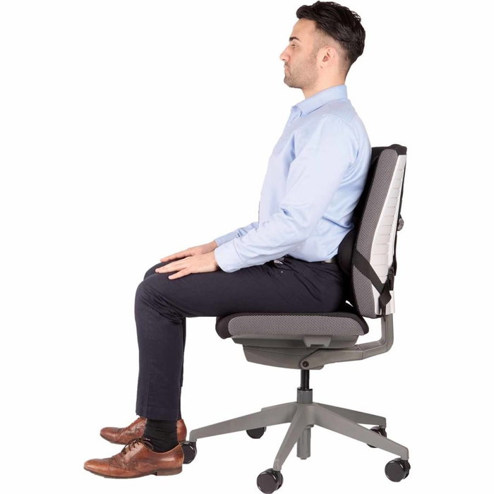Fellowes Professional Series Ultimate Back Support Negro Fellowes Professional Series Ultimate Back Support Negro