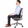 Fellowes Professional Series Ultimate Back Support Negro