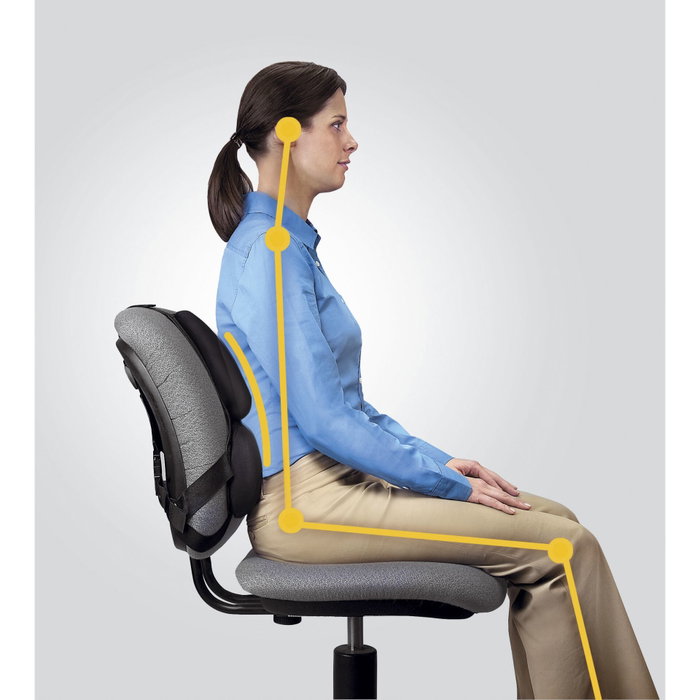 Fellowes Professional Series Ultimate Back Support Negro Fellowes Professional Series Ultimate Back Support Negro