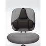 Fellowes Professional Series Ultimate Back Support Negro