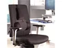 Fellowes Respaldo Lumbar Ergonómico Professional Series Negro