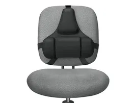 Fellowes Respaldo Ergonómico Profesional con Memory Foam de 3 Secciones, Adaptable a la Curvatura de la Espalda, Color Negro