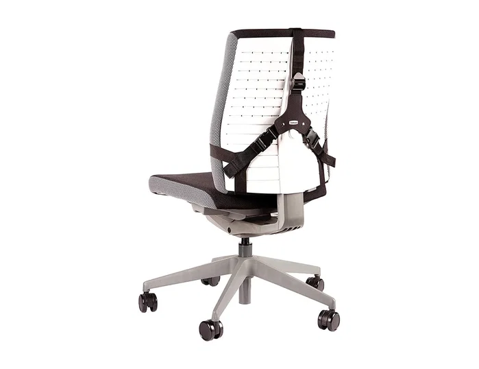 Fellowes Respaldo Lumbar Ergonómico Professional Series Negro Fellowes Respaldo Lumbar Ergonómico Professional Series Negro