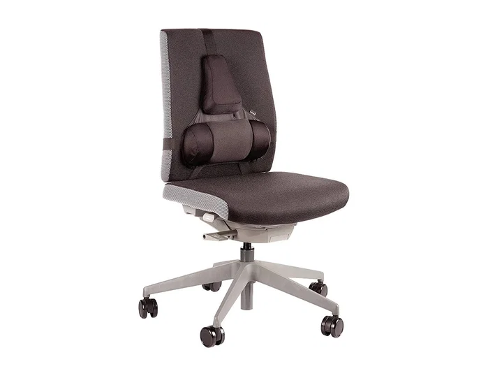 Fellowes Respaldo Lumbar Ergonómico Professional Series Negro Fellowes Respaldo Lumbar Ergonómico Professional Series Negro