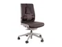 Fellowes Respaldo Lumbar Ergonómico Professional Series Negro