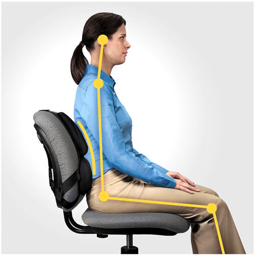 Fellowes Professional Series Ultimate Back Support Negro Fellowes Professional Series Ultimate Back Support Negro