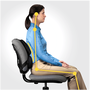 Fellowes Professional Series Ultimate Back Support Negro