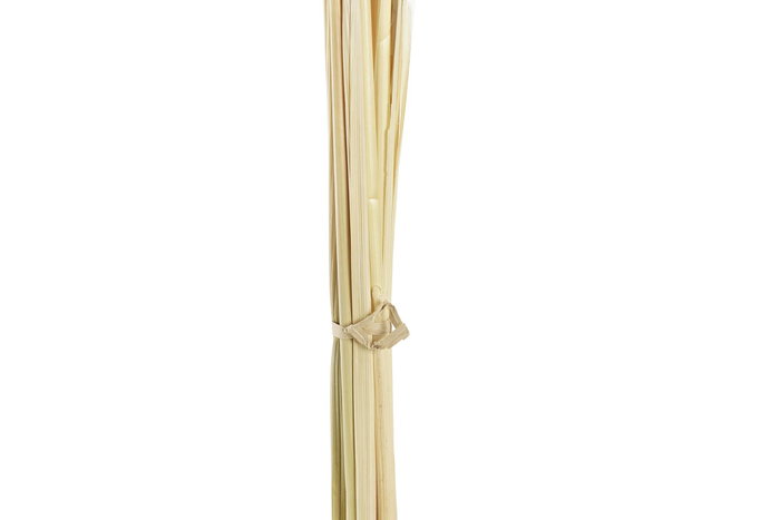 DKD Home Decor Ramo Flor seca Beige 8 x 3 x 57 cm (12 Unidades)