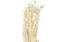 DKD Home Decor Ramo Flor seca Beige 8 x 3 x 57 cm (12 Unidades)