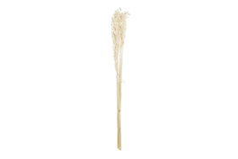 DKD Home Decor Ramo de Flores Secas de Avena Beige 8x3x57 cm
