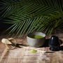 Home Deco Factory Juego de Preparación Té Matcha Natural con Bol, Cuchara, Batidor y Soporte para ceremonia del té