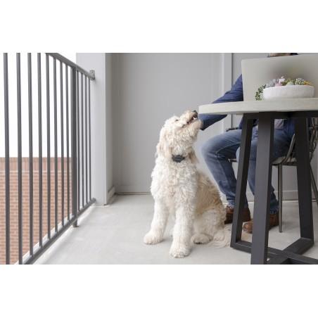 Petsafe Collar Antiladridos Audible con Tecnología SoundBurst Petsafe Collar Antiladridos Audible con Tecnología SoundBurst