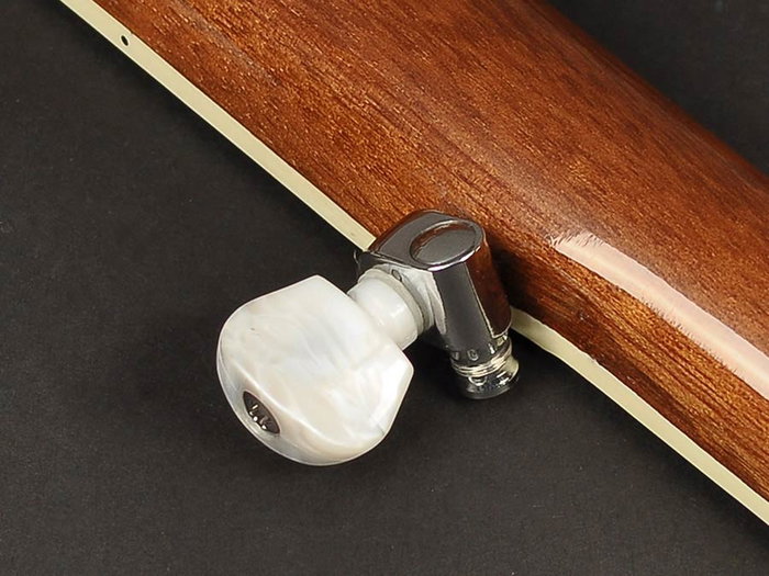 Richwood Banjo Bluegrass 5 Cuerdas 24T RMB-905