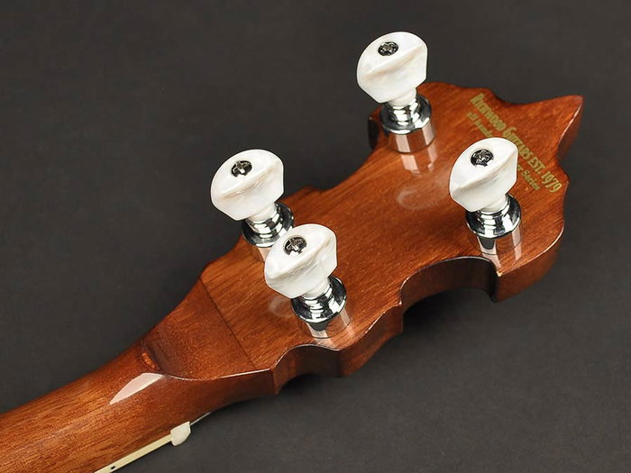 Richwood Banjo Bluegrass 5 Cuerdas 24T RMB-905