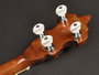 Richwood Banjo Bluegrass 5 Cuerdas 24T RMB-905