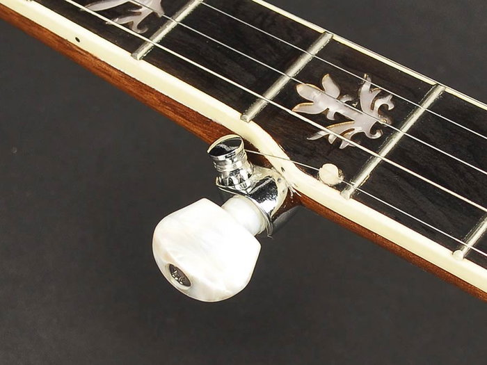 Richwood Banjo Bluegrass 5 Cuerdas 24T RMB-905