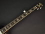 Richwood Banjo Bluegrass 5 Cuerdas 24T RMB-905