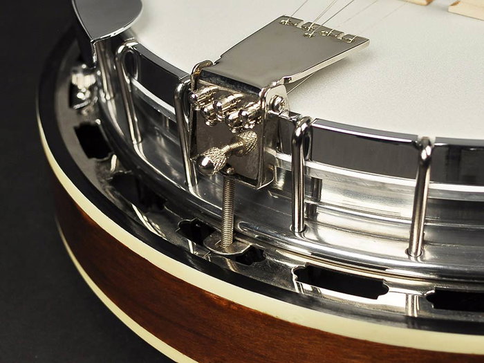 Richwood Banjo Bluegrass 5 Cuerdas 24T RMB-905