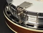 Richwood Banjo Bluegrass 5 Cuerdas 24T RMB-905
