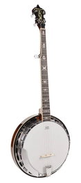 Richwood Banjo Bluegrass 5 Cuerdas 24T RMB-905