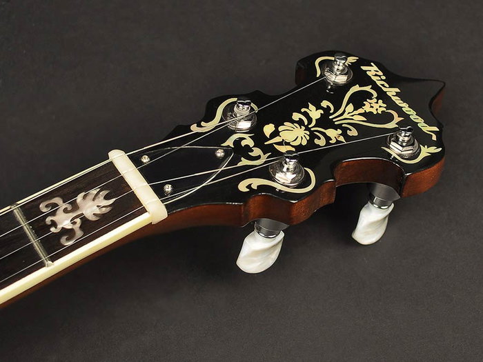 Richwood Banjo Bluegrass 5 Cuerdas 24T RMB-905