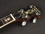 Richwood Banjo Bluegrass 5 Cuerdas 24T RMB-905