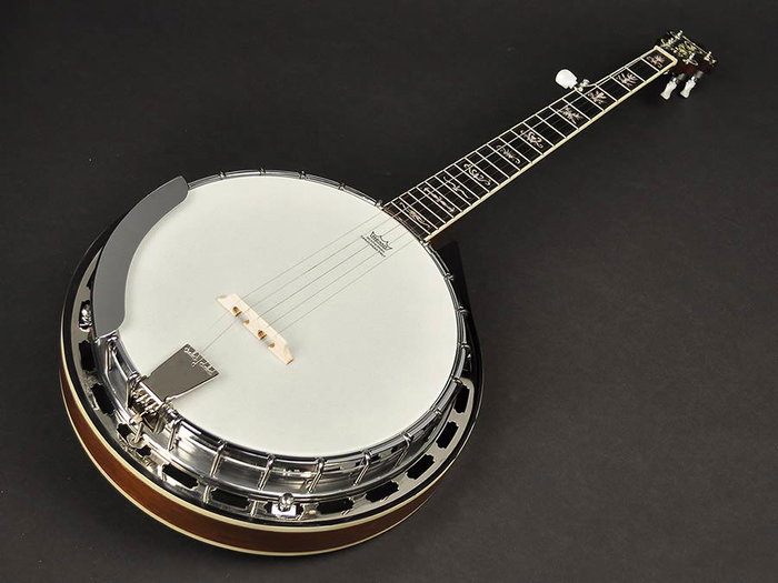 Richwood Banjo Bluegrass 5 Cuerdas 24T RMB-905