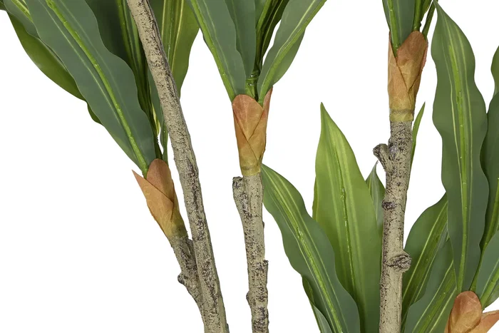DKD Home Decor Planta Dracena Verde 70x70x160 cm