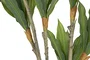 DKD Home Decor Planta Dracena Verde 70x70x160 cm