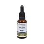 Jellybell Evolution Star Zinc Cobre 30 ml