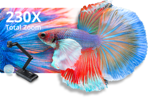 AVer M70W Cámara de Documentos Inalámbrica 4K, Zoom 230X, 13MP, USB 2.0, HDMI, Color Negro