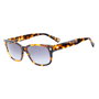 Belstaff CROSBY-S197 Gafas de sol para mujer en marrón y gris