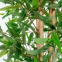 DKD Home Decor Árbol Bambu asiatico Verde Natural PVC Bambú Cemento 40x40x180 cm