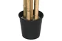 DKD Home Decor Árbol Bambu asiatico Verde Natural PVC Bambú Cemento 40x40x180 cm